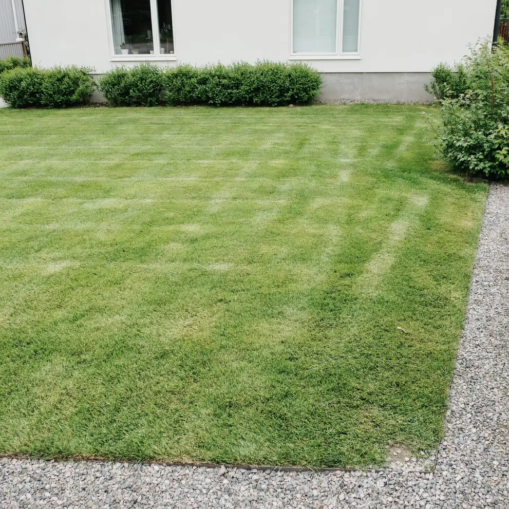 grasklippning trelleborg
